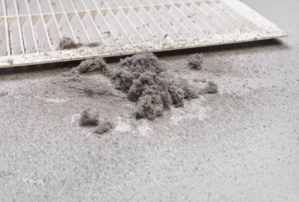 Best HVAC Maintenance and Cleaning  in Suitland, MD